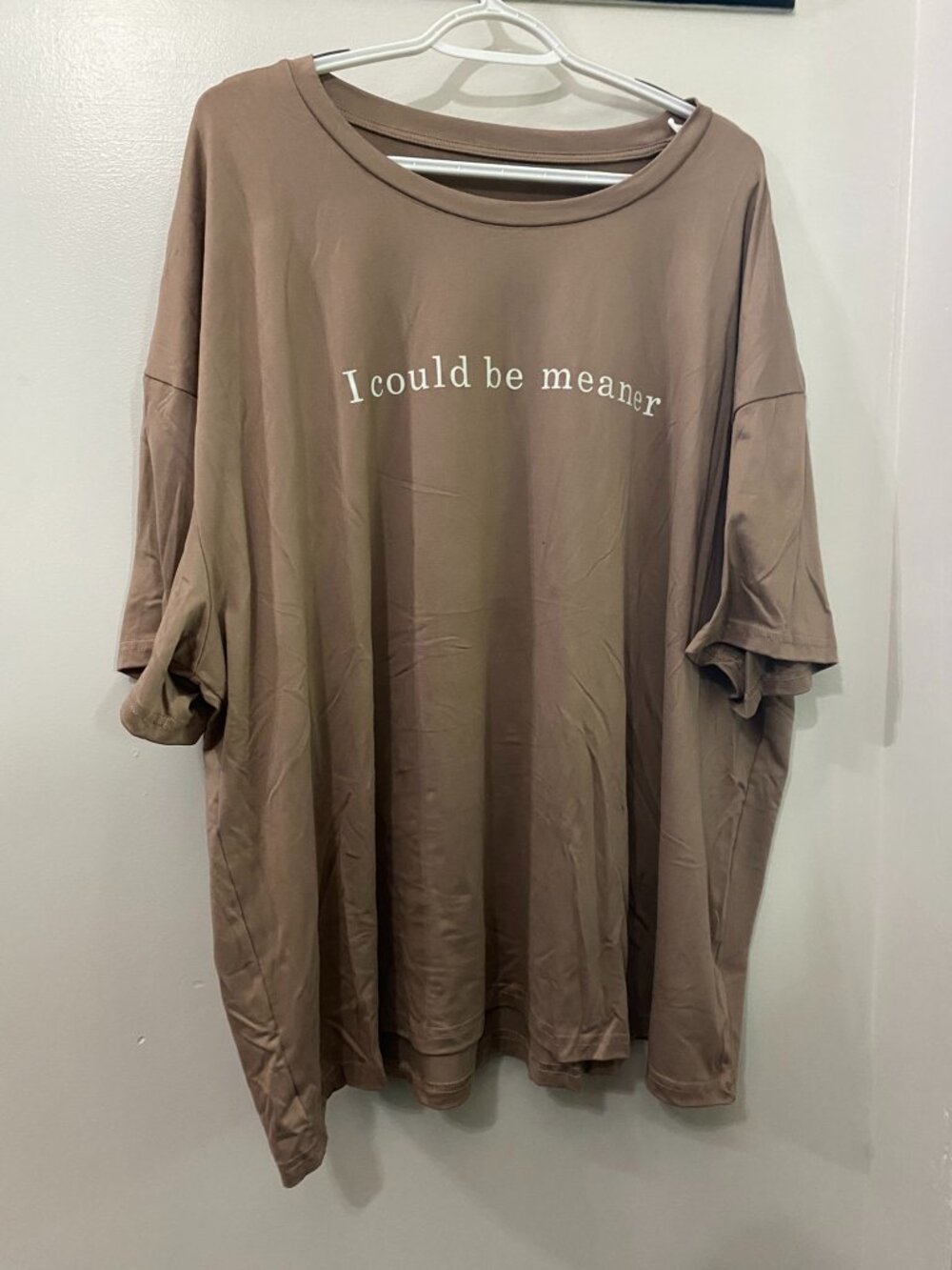 NWOT SHEIN Tan I Could Be Meaner T-Shirt 4X